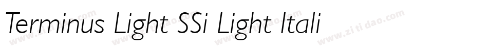 Terminus Light SSi Light Italic字体转换